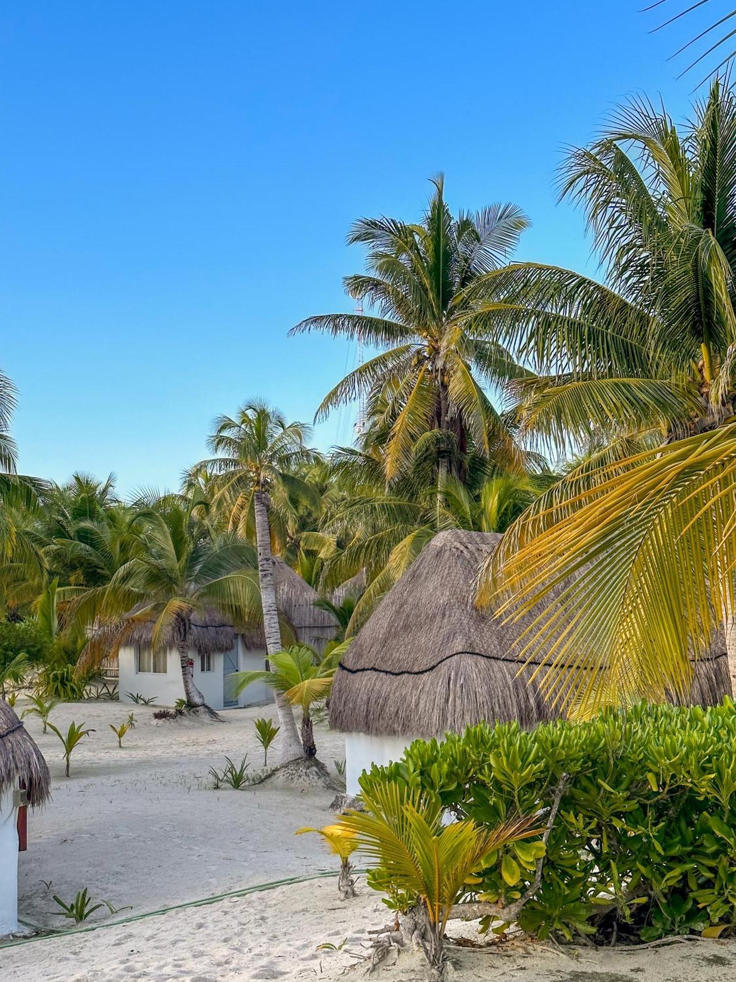 Alito Tulum Hotel Exterior photo
